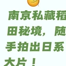 南京旅游 缩略图 1