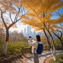 长沙旅游 缩略图 6