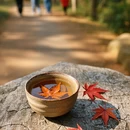 长沙旅游 缩略图 2