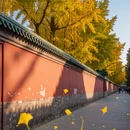 成都旅游 缩略图 7