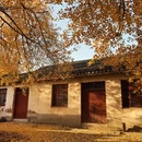上海旅游 缩略图 4