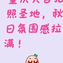 重庆旅游 缩略图 1