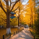 长沙旅游 缩略图 4