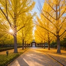 长沙旅游 缩略图 8