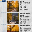 长沙旅游 缩略图 1