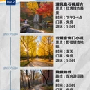 长沙旅游 缩略图 2