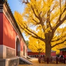 北京旅游 缩略图 8