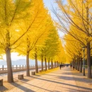 北京旅游 缩略图 3