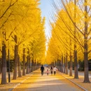 上海旅游 缩略图 5
