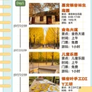 上海旅游 缩略图 1