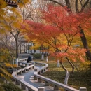 苏州旅游 缩略图 8