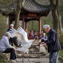 苏州旅游 缩略图 4