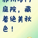 苏州旅游 缩略图 1