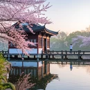 杭州旅游 缩略图 5