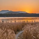 杭州旅游 缩略图 4
