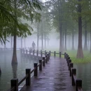 杭州旅游 缩略图 6