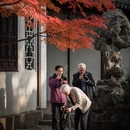 苏州旅游 缩略图 8