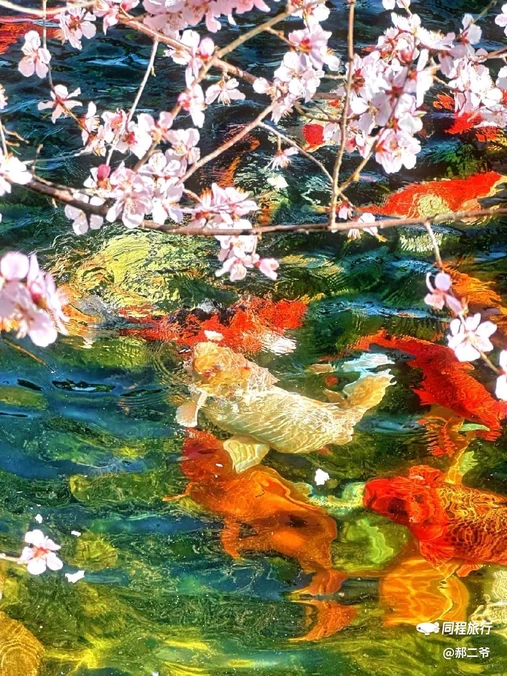 月地云居 - 北京市旅游