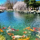 月地云居 - 北京市旅游 缩略图 7
