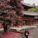 四季逸境酒店(金华高铁站银泰城店) - 金华市旅游 缩略图 7