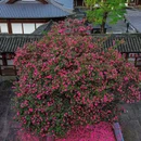 四季逸境酒店(金华高铁站银泰城店) - 金华市旅游 缩略图 6