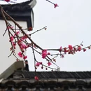 四季逸境酒店(金华高铁站银泰城店) - 金华市旅游 缩略图 9