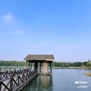 江苏省泰州市政协 - 泰州市旅游 缩略图 5