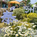 江苏省泰州市政协 - 泰州市旅游 缩略图 9