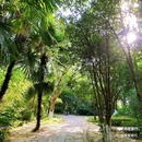 江苏省泰州市政协 - 泰州市旅游 缩略图 6