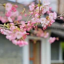 茅家埠景区 - 杭州市旅游 缩略图 8