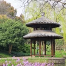 茅家埠景区 - 杭州市旅游 缩略图 6