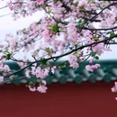 桔子酒店(重庆李子坝牛角沱地铁站店) - 重庆市旅游 缩略图 2