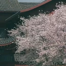 桔子酒店(重庆李子坝牛角沱地铁站店) - 重庆市旅游 缩略图 3
