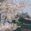 桔子酒店(重庆李子坝牛角沱地铁站店) - 重庆市旅游 缩略图 5