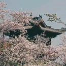 桔子酒店(重庆李子坝牛角沱地铁站店) - 重庆市旅游 缩略图 4