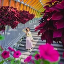江门古劳水乡旅游区 - 江门市旅游 缩略图 4
