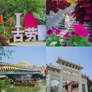 江门古劳水乡旅游区 - 江门市旅游 缩略图 2