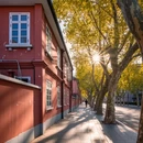 上海旅游 缩略图 7