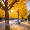成都旅游 缩略图 8