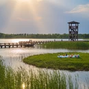 成都旅游 缩略图 5