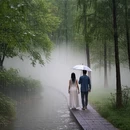 杭州旅游 缩略图 7