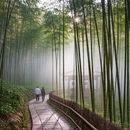 杭州旅游 缩略图 4