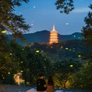 杭州旅游 缩略图 8
