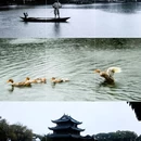 南浔古镇景区 - 湖州市旅游 缩略图 4