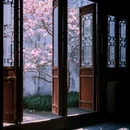 耦园游客中心 - 苏州市旅游 缩略图 5