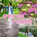 城东村 - 德阳市旅游 缩略图 1