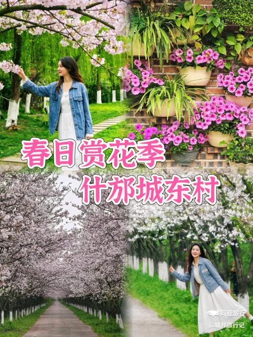 城东村 - 德阳市旅游