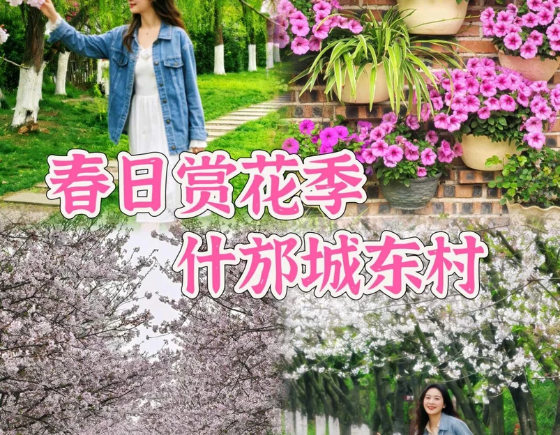 城东村 - 德阳市旅游 1