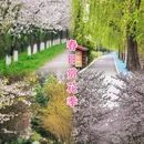 城东村 - 德阳市旅游 缩略图 7