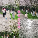 城东村 - 德阳市旅游 缩略图 8